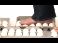 Download Lagu Walking On Eggs - Sick Science! #069