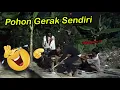 Download Lagu 381▶️ Pohon Gerak-gerak Sendri Prank Kuntilanak Expose Cisoka