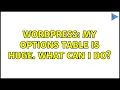 Wordpress My options table is huge What can I do 3 Solutions