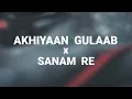 AKHIYAAN GULAAB x SANAM RE . HINDI LOVE MASHUP