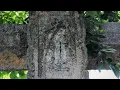 【安芸の宮島紀行】♪舟津真翔 　大切