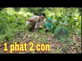 Download Lagu Quá Hấp Dẫn Bẫy Chim Quốc Lần Đầu Tiên Dính Kèo Xiên Đôi # SĂN BẮT ĐỒNG THÁP #