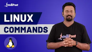 Linux Commands Linux Commands for Beginners Linux Tutorial for Beginners Intellipaat