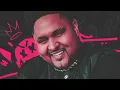 TU TÁ NA GAIOLA (ARROCHADEIRA REMIX) - CJNOBEAT, MC KEVIN O CHRIS - VIRAL TIK TOK