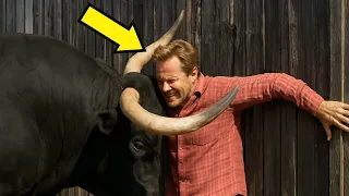 Toro ATACA al Granjero y lo Clava a la Pared: lo que pasó después TE DEJARÁ sin palabras