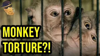 global monkey torture ring exposed yes that is the title