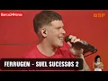 Download Lagu FERRUGEM  - SUEL SUCESSOS ROMANTICOS 2  - 2021 BSP