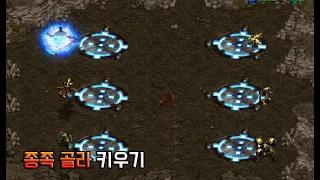 종족 골라서 키우는 1인 키우기 유즈맵 골라 키우기 싱글버전 Starcraft Remastered Use Map 