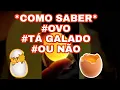 Download Lagu Como saber se ovo está galado antes de colocar para chocar, não perca mais espaço na chocadeira!