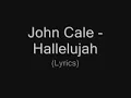 John Cale - Hallelujah (Lyrics) (best version)