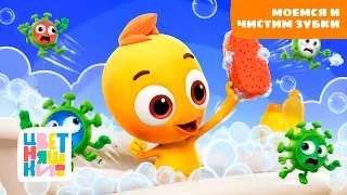 Душ, ванна и зубная щётка 🛁 Как прогнать микробов? | Цветняшки | сборник