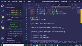 Angular 9 Pexel API Photo Search App Full Project
