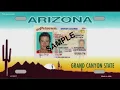 Frustrated with D If you need a new license you have options