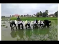 Download Lagu Kawula muda-Roma Irama