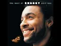 Boombastic (Sting Remix) - Shaggy
