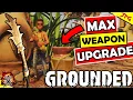 GROUNDED GUIDE To Max Upgrading Weapons And Tools Elemental Damage Effects PTS Update
