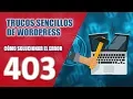 Que es el error 403 Como solucionar el error 403