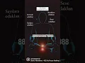 Download Lagu Çakra Dengeleme Yöntemleri enerji çalışması çakralar renk terapisi sayı sekansları enerji terapisi