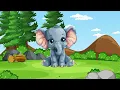 Discover Mammals How to Identify Wild Animals Easily