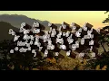 Download Lagu The Potters - Arti Cinta Sejati + Lirik