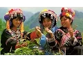 Download Lagu Hmong Women Sapa Vietnam