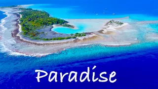 Destination Paradise