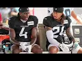 Houston Texans Defensive Backs Depth Chart Going Into Training Camp