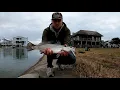 Speckled Trout on Artificials in Canals at Ocean Isle Beach NC