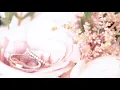 Novelbright【愛結び】