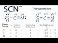 SCN - Lewis Structure