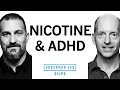 How Nicotine Affects Focus AD Dr John Kruse Dr Andrew Huberman