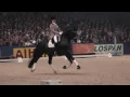 Download Lagu Totilas and Edward Gal - KWPN Hengstenkeuring 2010 Den Bosch HD 1080i