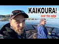 Download Lagu New Zealand's BEST Eating Fish? | Kaikoura Deep Sea Fishing Adventure!