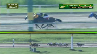V166 | Provenza | Hipódromo Nacional de Valencia | Reunión 20 | 2026
