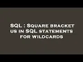 SQL Square bracket us in SQL statements for wildcards