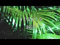 Download Lagu N I G H T S-Basic(slowed)