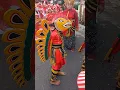 Download Lagu Barong cilik Banyuwangi pitik-pitikan Suku Osing mengawal barisan karnaval #sunriseofjava #mask #art