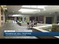 Promenade Mall Proposal