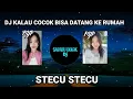 Download Lagu DJ STECU - STECU KALAU COCOK BISA DATANG KE RUMAH X CHINA MELODY VIRAL TIK TOK TERBARU 2025