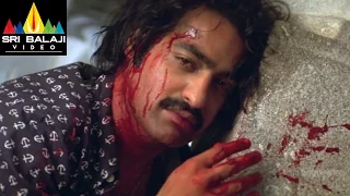 yamadonga movie mohan babu and ntr sentiment scene jr ntr priyamani sri balaji video