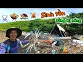 Download Lagu 72 uur overleven op een onbewoond eiland zonder eten, water, onderdak of vuur | 3 dagen solo over...