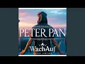 Lagu Peter Pan