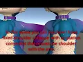 Rotation Constraints to bring your avatar to life