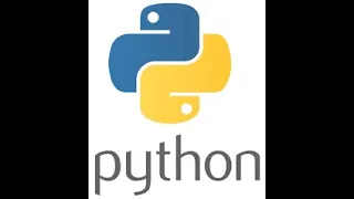 Mastering Python Basics Print Function Variables String Concatenation and More