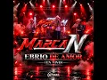 Ebrio De Amor (En Vivo)