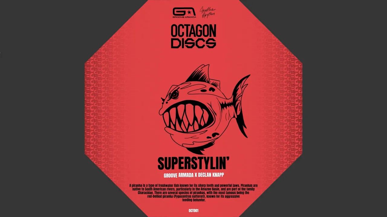 Groove Armada, Declan Knapp - Superstylin' (Extended Mix) (Official Visualiser) Groove Armada, Declan Knapp - Superstylin' (Extended Mix) (Official Visualiser)
