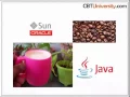 About Java Sun and Oracle