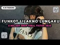 DJ FUNKOT LILAKNO LUNGAKU, LILAKNO LUNGAKU LURUSNO DALAN MLAKUMU X DROP MELODY UWASIKK VIRAL TIKTOK