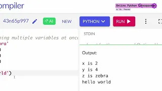 3 Working in an online Python interpreter - comments print type casting and more on variables