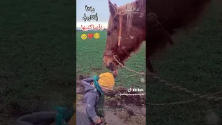 ام كلثوم انت روحي وكل عمري يانور حياتي الحب كله 